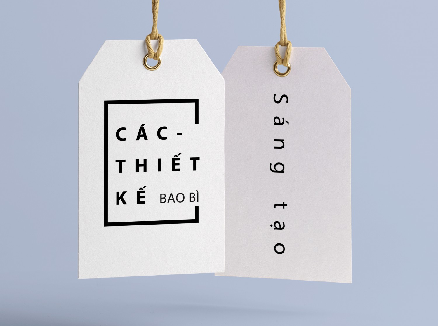 Thiết kế bao bì sản phẩm